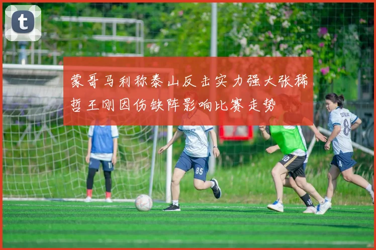 蒙哥马利称泰山反击实力强大张稀哲王刚因伤缺阵影响比赛走势