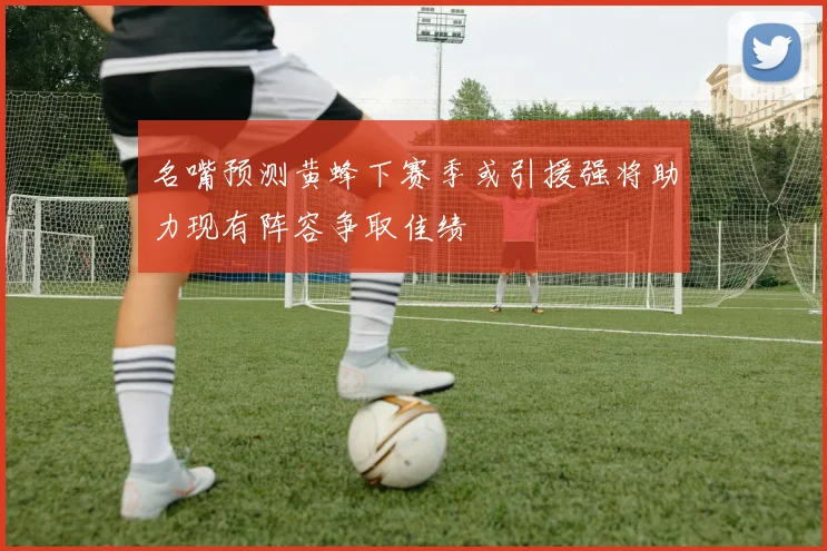 名嘴预测黄蜂下赛季或引援强将助力现有阵容争取佳绩